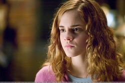 Hermione Granger - Television and Film Character Encyclopedia