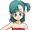 Bulma Briefs