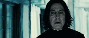 Harry-Potter-and-the-Deathly-Hallows-Part-2-Official-Trailer-HD-severus-snape-21490686-1920-816