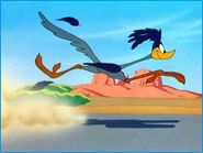 Road-runner