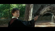 Harry-potter3-movie-screencaps.com-4205.jpg (1,019 KB)