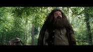 Harry-potter3-movie-screencaps.com-3973.jpg (1.47 MB)