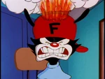 Wakko's head explodes.jpg (63 KB)