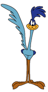 Road Runner (Looney Tunes franchise)