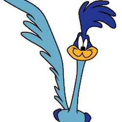 Road Runner, Warner Bros. Entertainment Wiki