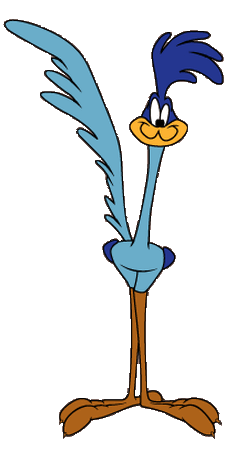 Road Runner Warner Bros. Entertainment Wiki Fandom