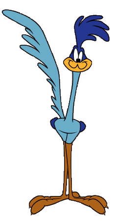 road runner cartoon