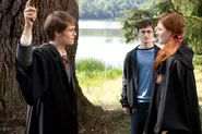 Lily in a deleted scene in Order of the Phoenix