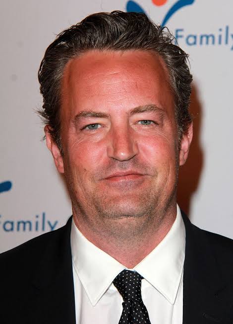 Matthew Perry | Warner Bros. Entertainment Wiki | Fandom