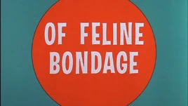 Of Feline Bondage