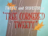 Tree Cornered Tweety