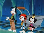 Yakko speaking.png (646 KB)