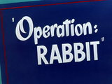 Operation: Rabbit