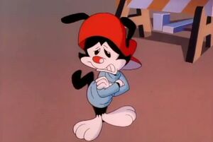 Wakko Warner1.jpg