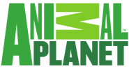 Animal Planet logo used from February 3, 2008 to October 15, 2018.