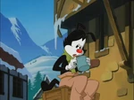 Yakko mug.png (464 KB)