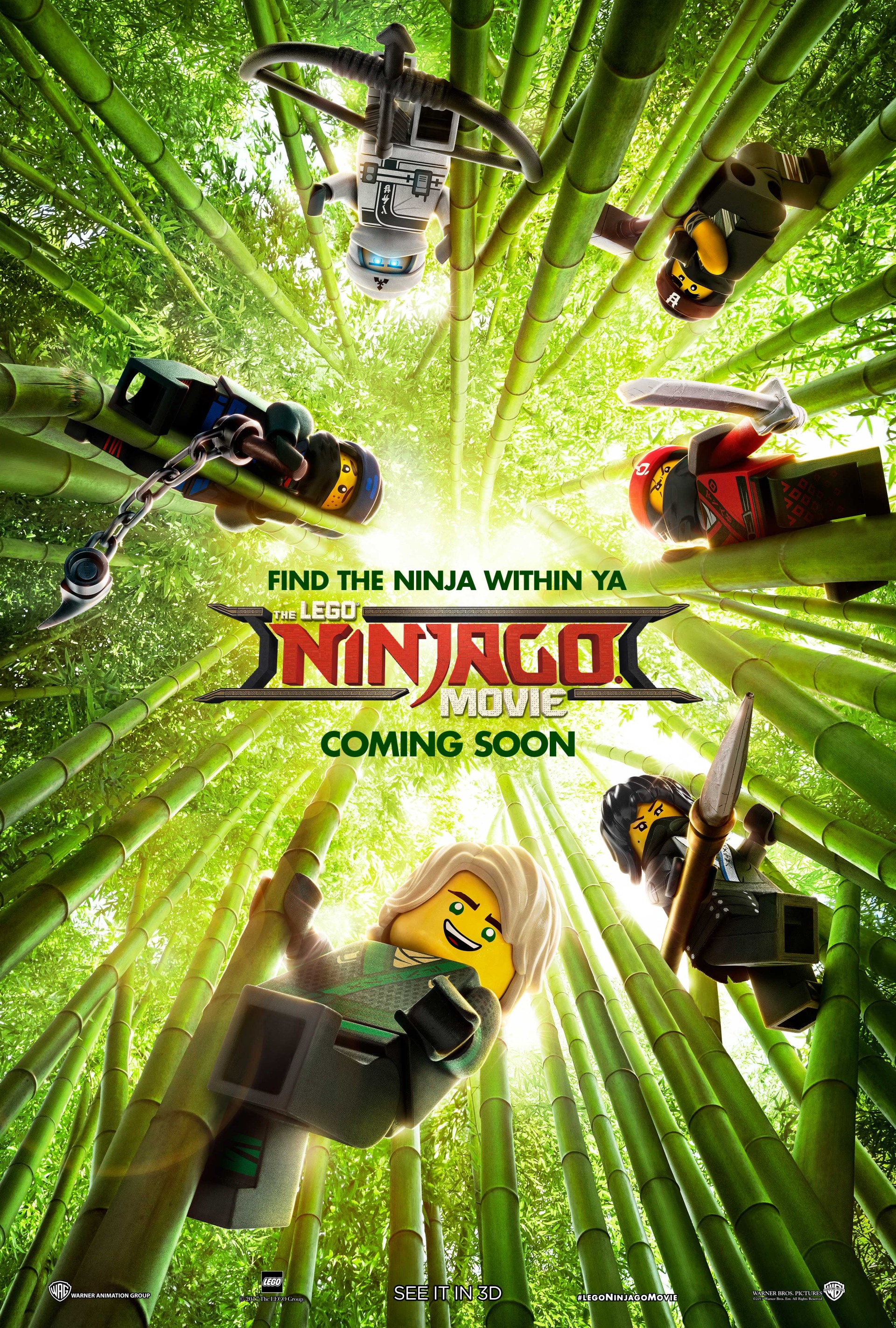 The LEGO Ninjago Movie, Warner Bros. Entertainment Wiki