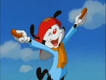 Wakko delighted.png (388 KB)