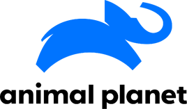 Animal Planet logo 2018