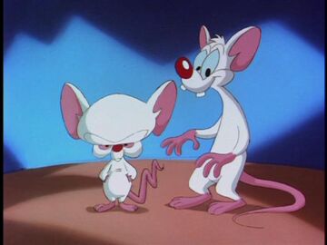 Other  Pinky And The Brain Christmas Cosmic Attractions World
