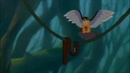 The Belt of the sword hanging on a vine.