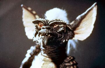 SF/ファンタジー/ホラー OVER THE STRIPES - OVER THE STRIPES GREMLiNS Stripe | Warner Bros. Entertainment Wiki | Fandom