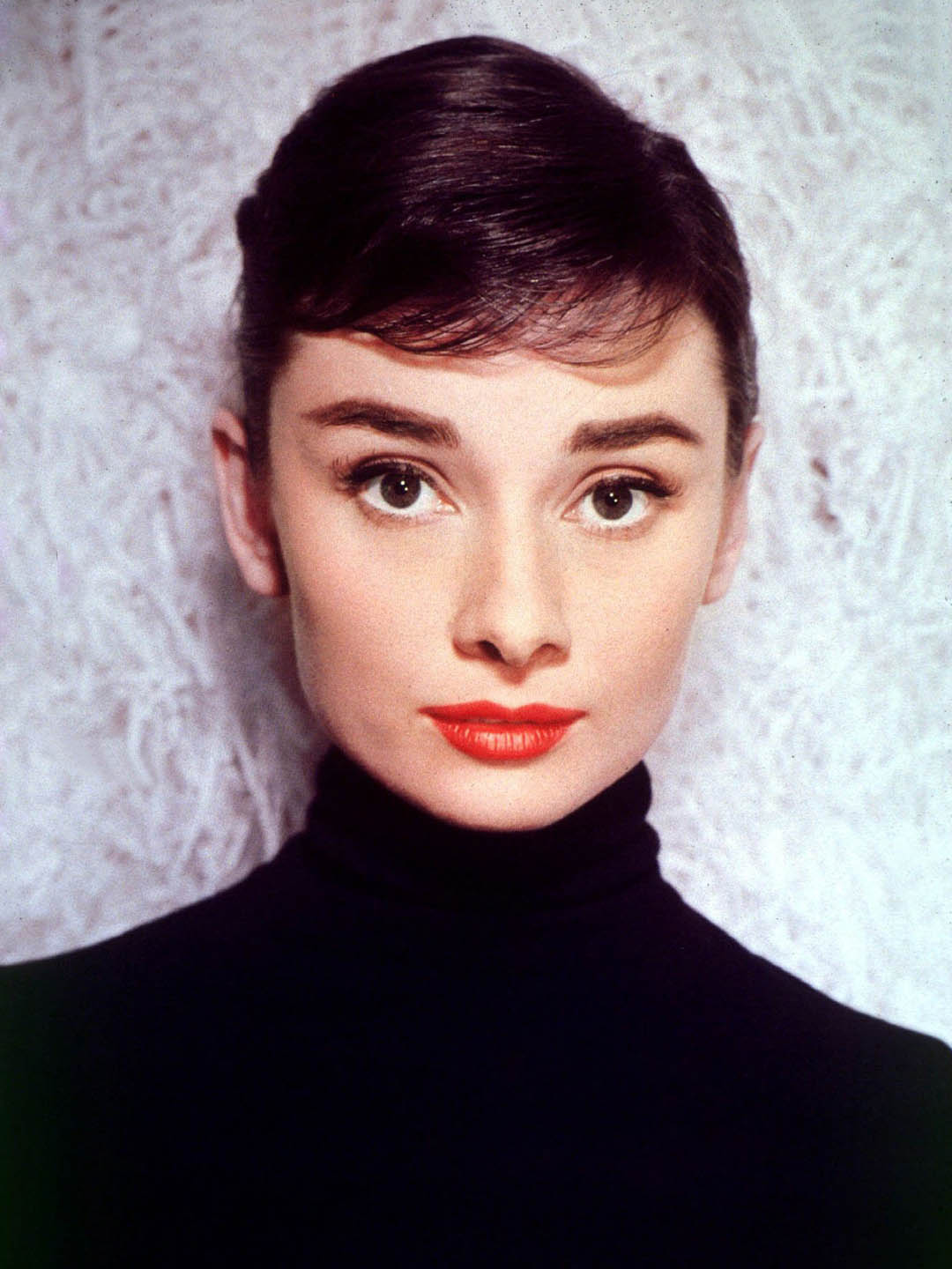 Audrey Hepburn Warner Bros Entertainment Wiki Fandom   Latest