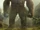 King Kong