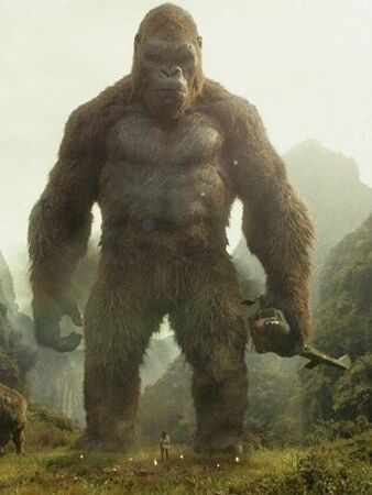 King Kong, Warner Bros. Entertainment Wiki