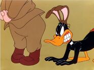 Daffy (with Charlie Dog's ears) attempts to bite Elmer's leg in Rabbit Fire.