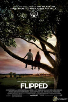 Flipped poster