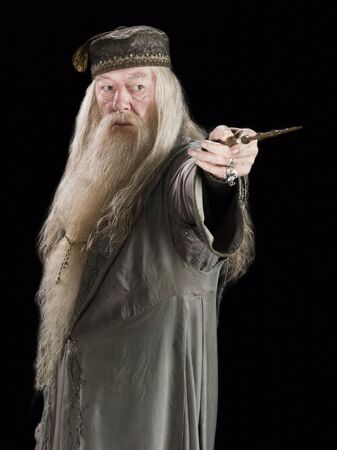 Dumbledore hat 2025
