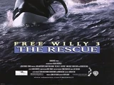 Free Willy 3: The Rescue