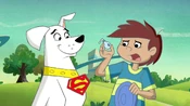 Kevin and Krypto