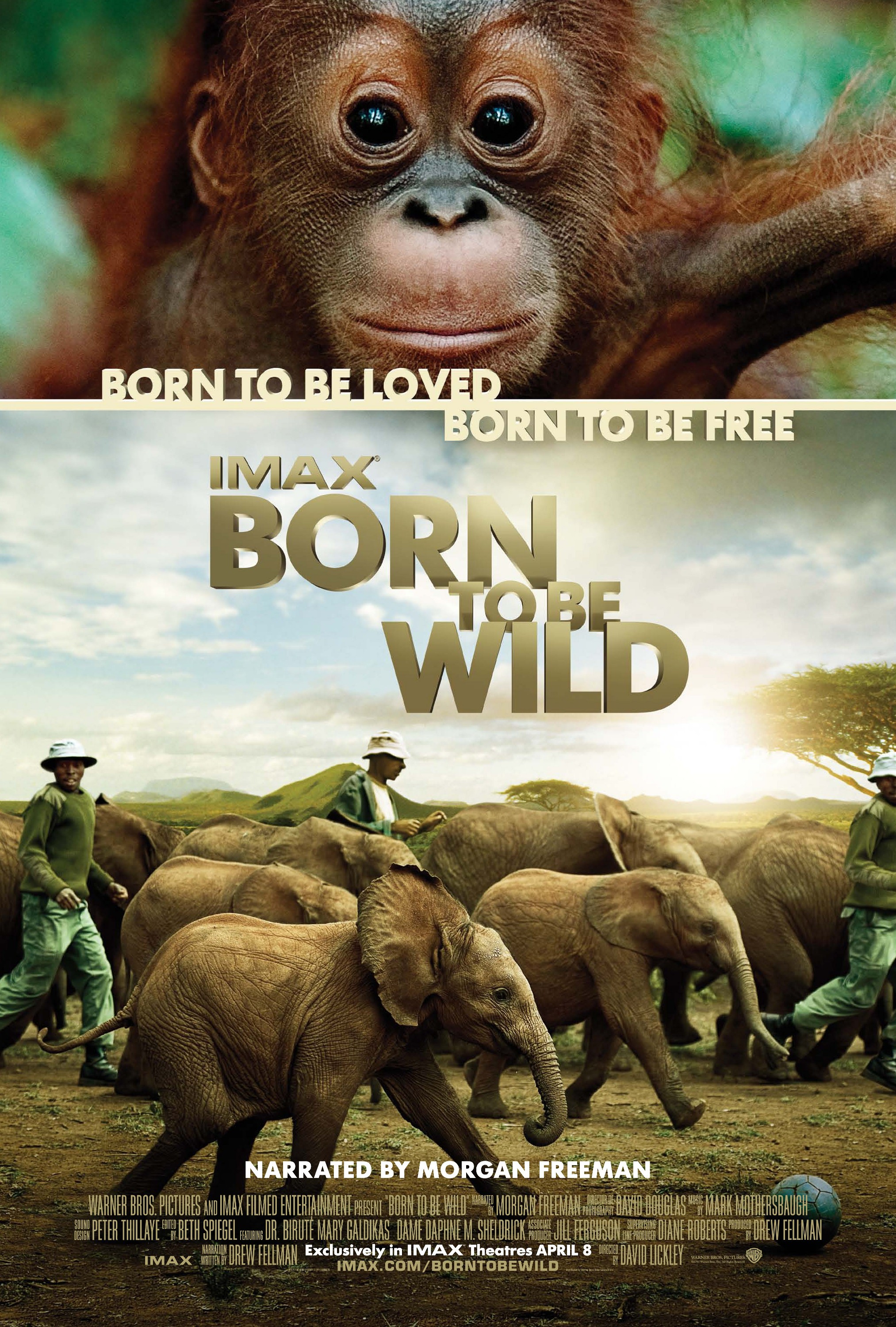 Born to Be Wild (2011 film), Warner Bros. Entertainment Wiki