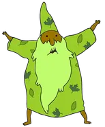 Forest Wizard