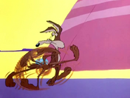 ...until he realizes that the Road Runner is nowhere around.