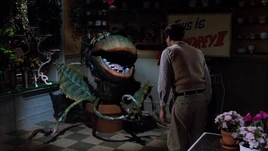 Feed Me (Git It)