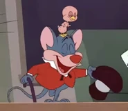 Merlin in Tiny Toons Looniversity