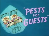 Pests for Guests