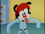 Wakko in Hercule Yakko.png (231 KB)