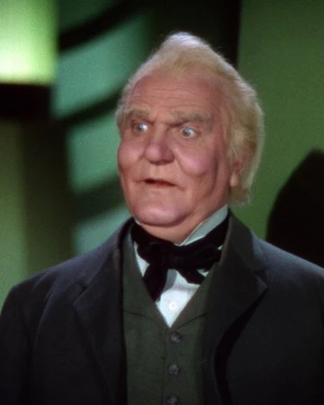The Wizard Of Oz Character Warner Bros Entertainment Wiki Fandom