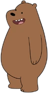 Grizzly Bear