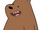 Grizzly Bear (We Bare Bears)