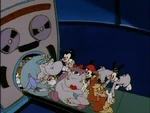 Animaniacs stew c.jpg (23 KB)