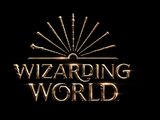 Wizarding World