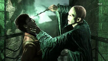 Voldemort (Deathly Hallows Part 2 Game)