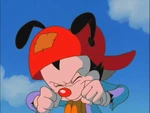 Wakko wishess for....png (428 KB)