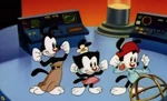 Super-strong-warner-siblings-animaniacs.jpg (38 KB)