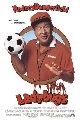 Ladybugs (film) Poster